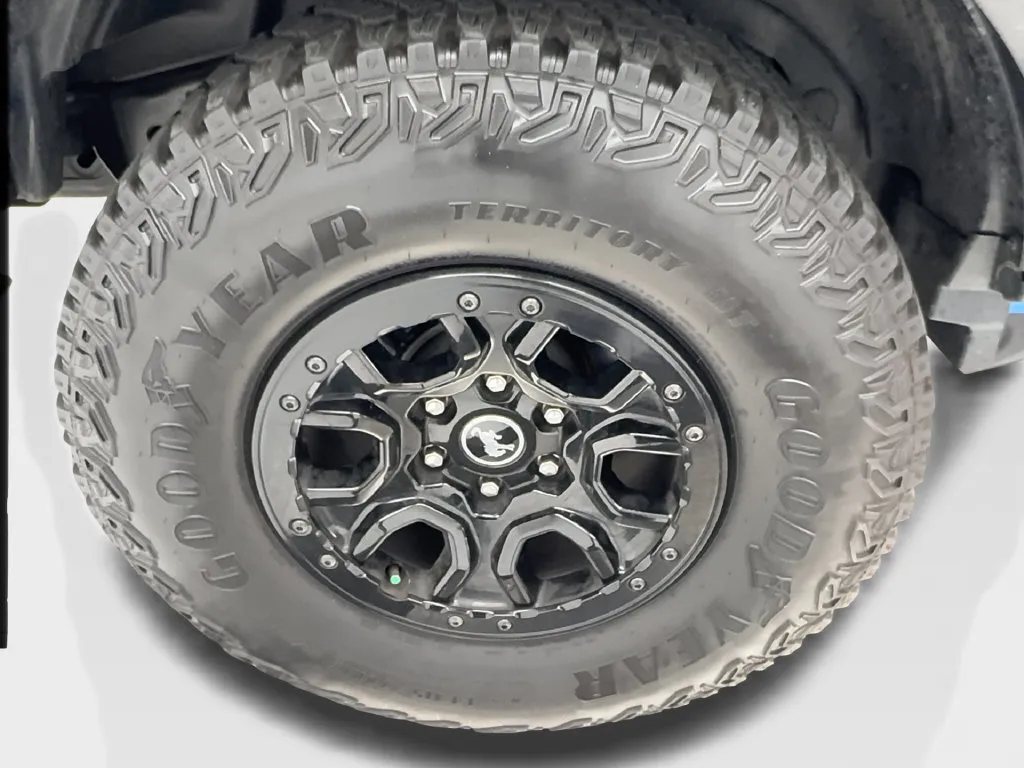 Ford Bronco photo 16