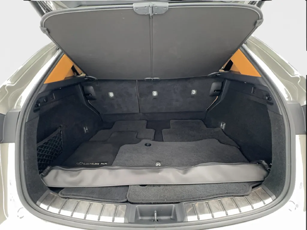 Lexus NX photo 18