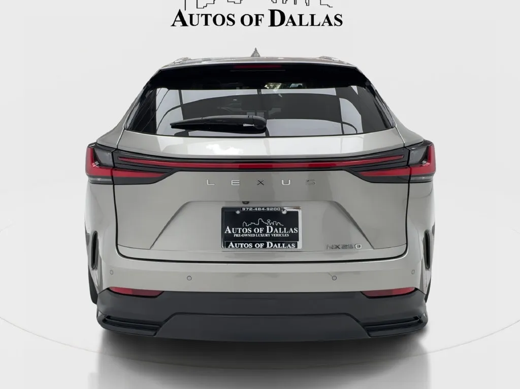 Lexus NX photo 10
