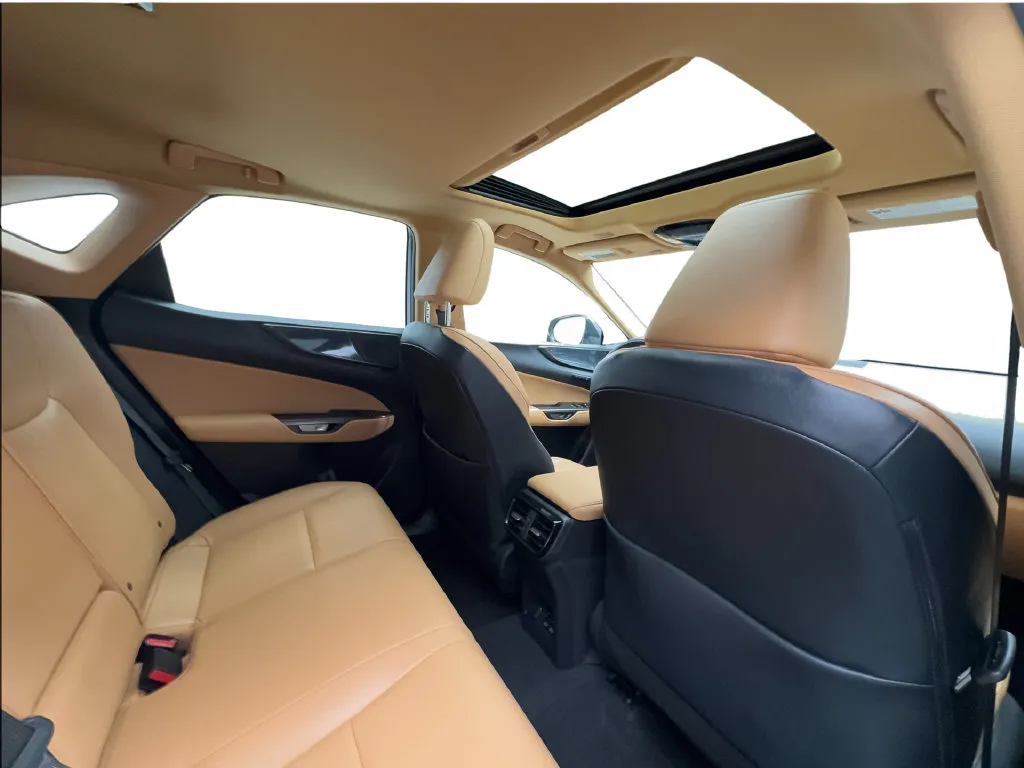 Lexus NX photo 29