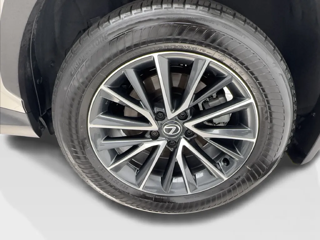 Lexus NX photo 12