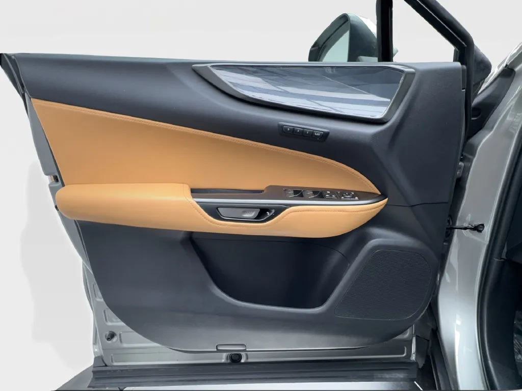 Lexus NX photo 25