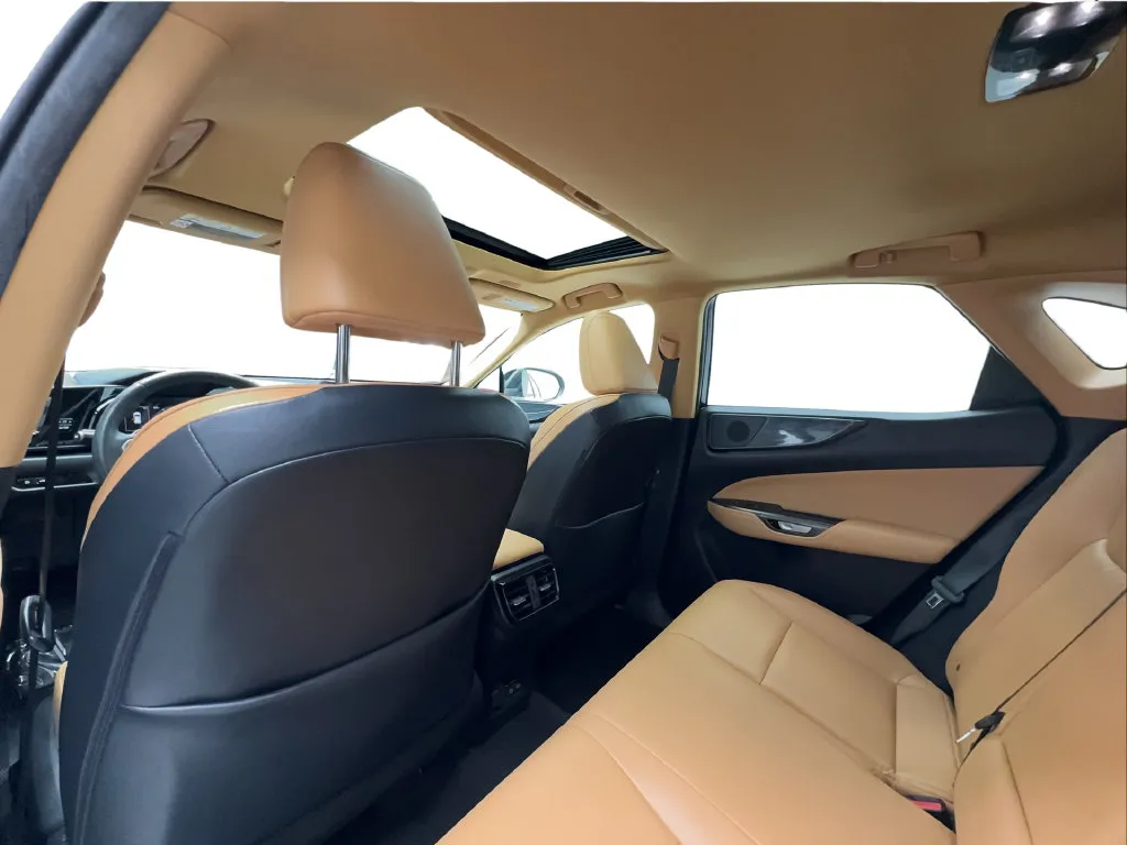 Lexus NX photo 26