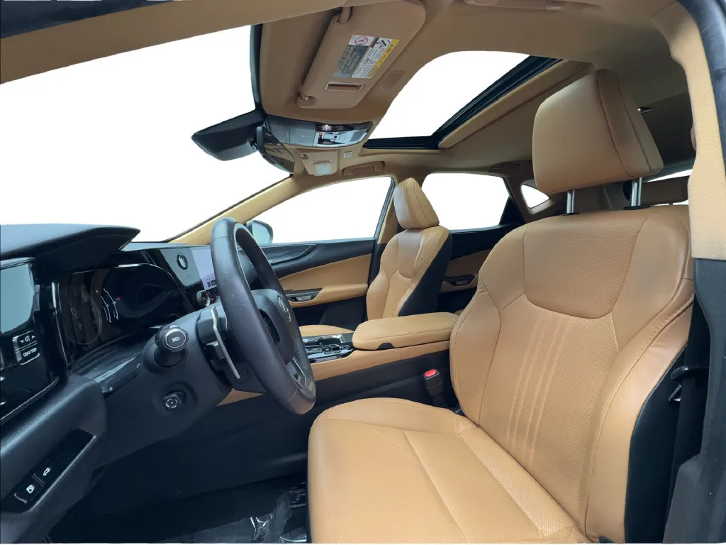 Lexus NX photo 20