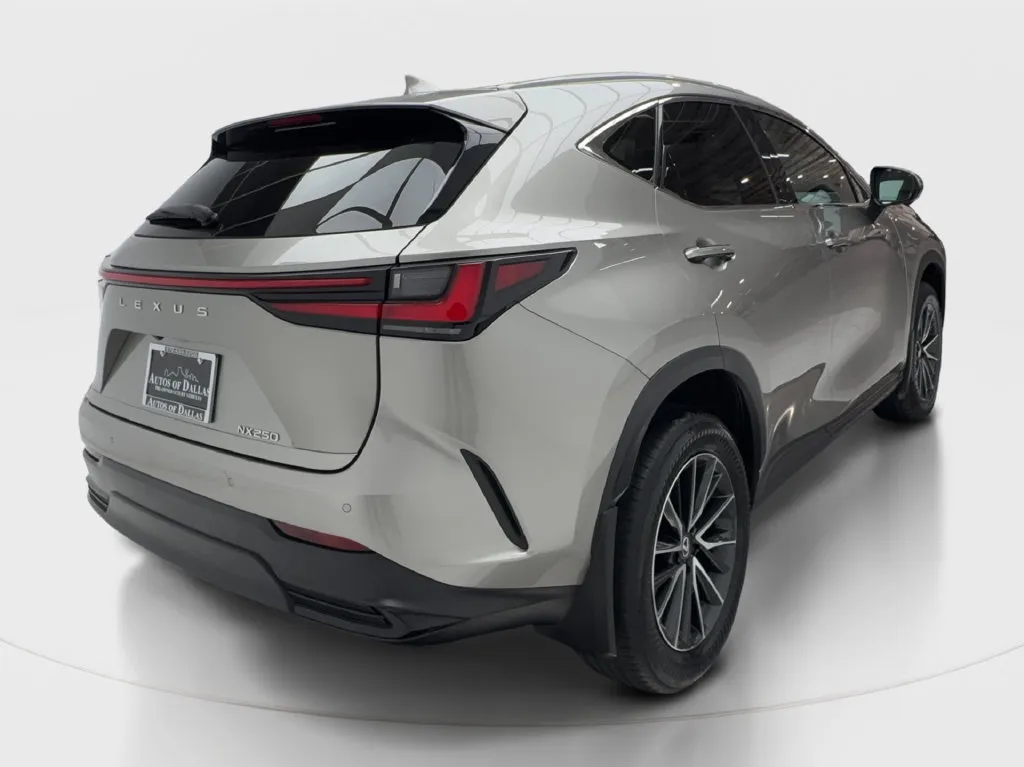Lexus NX photo 8
