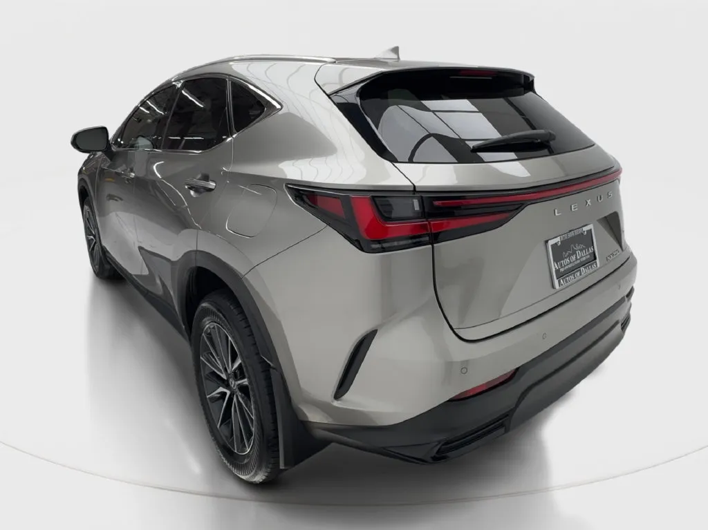Lexus NX photo 11