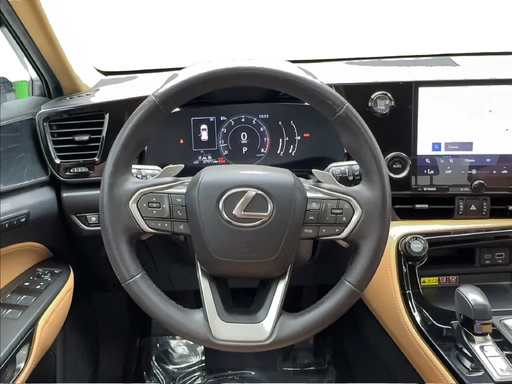 Lexus NX photo 39