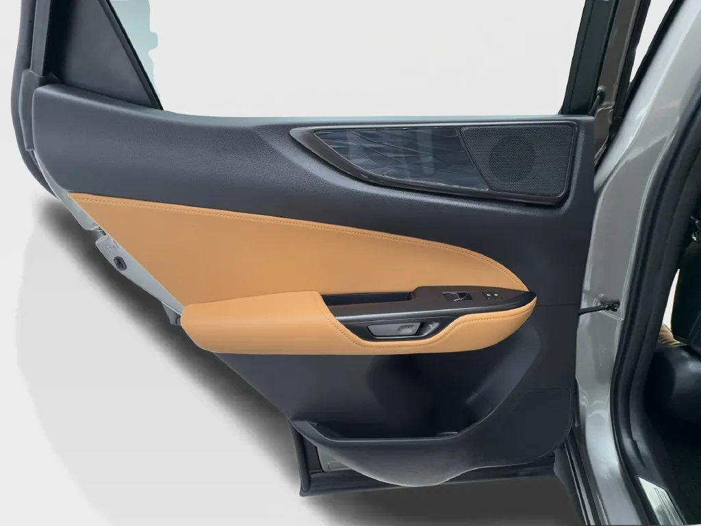 Lexus NX photo 28
