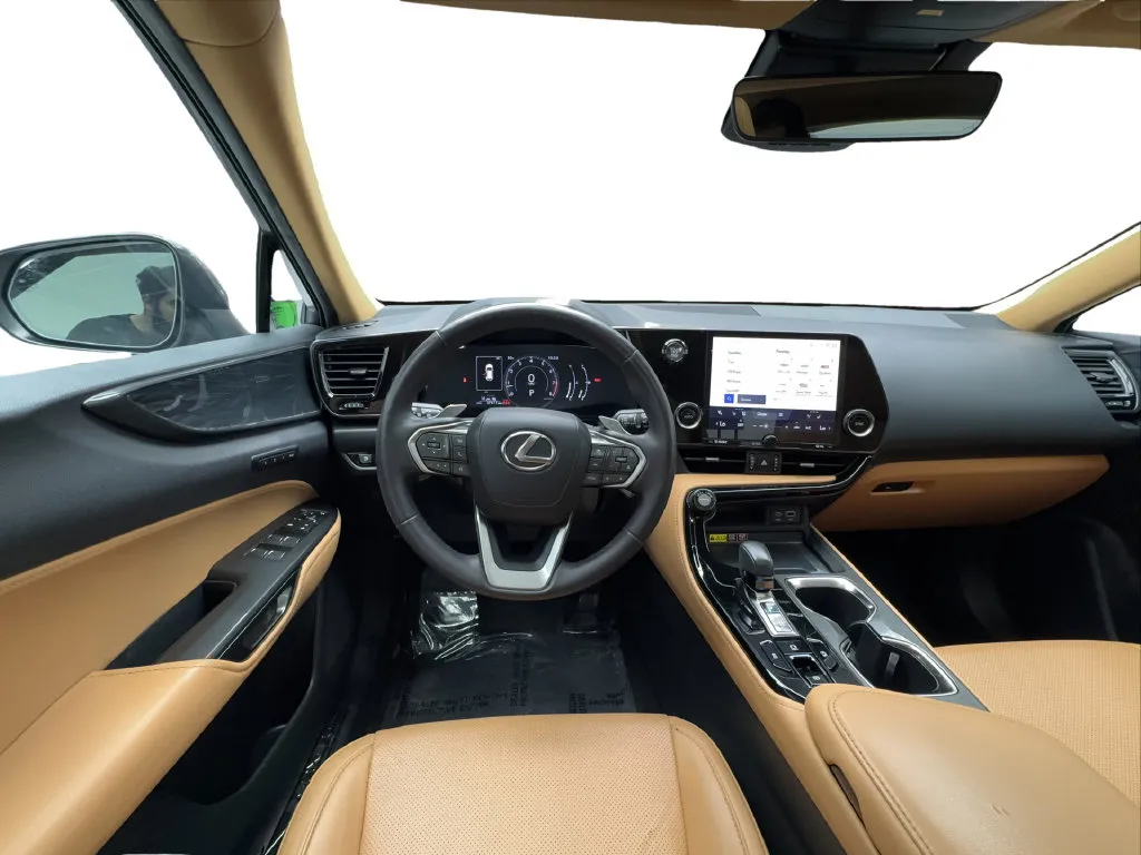 Lexus NX photo 37
