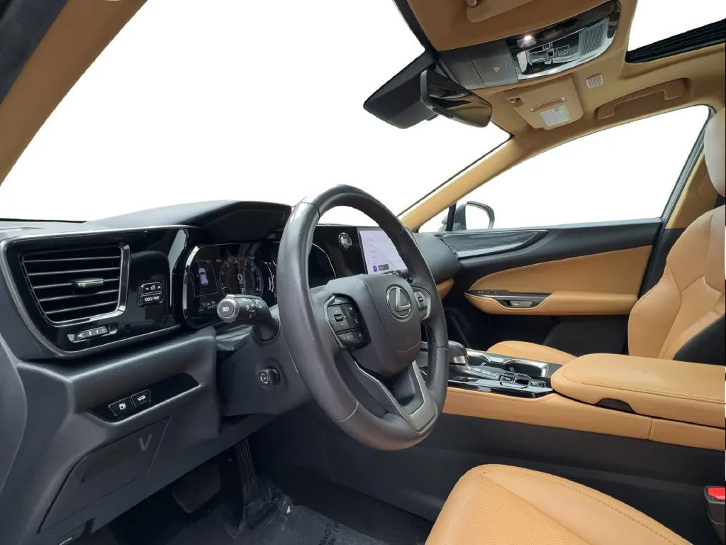 Lexus NX photo 22