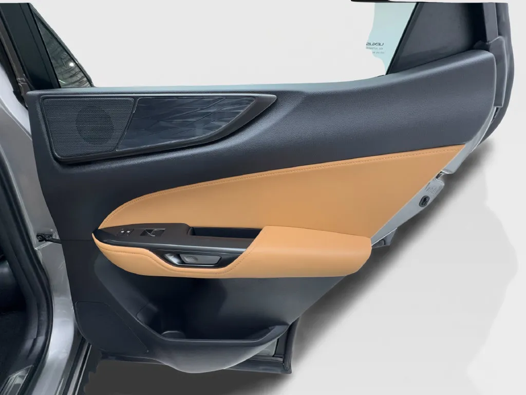 Lexus NX photo 32