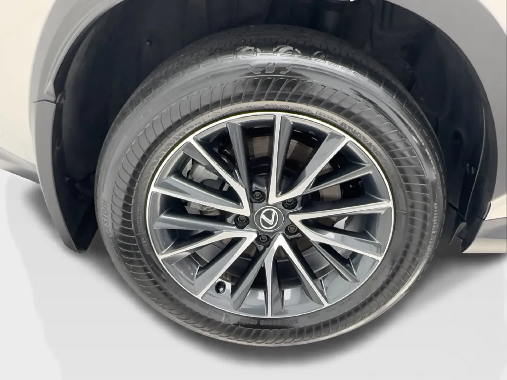 Lexus NX photo 16