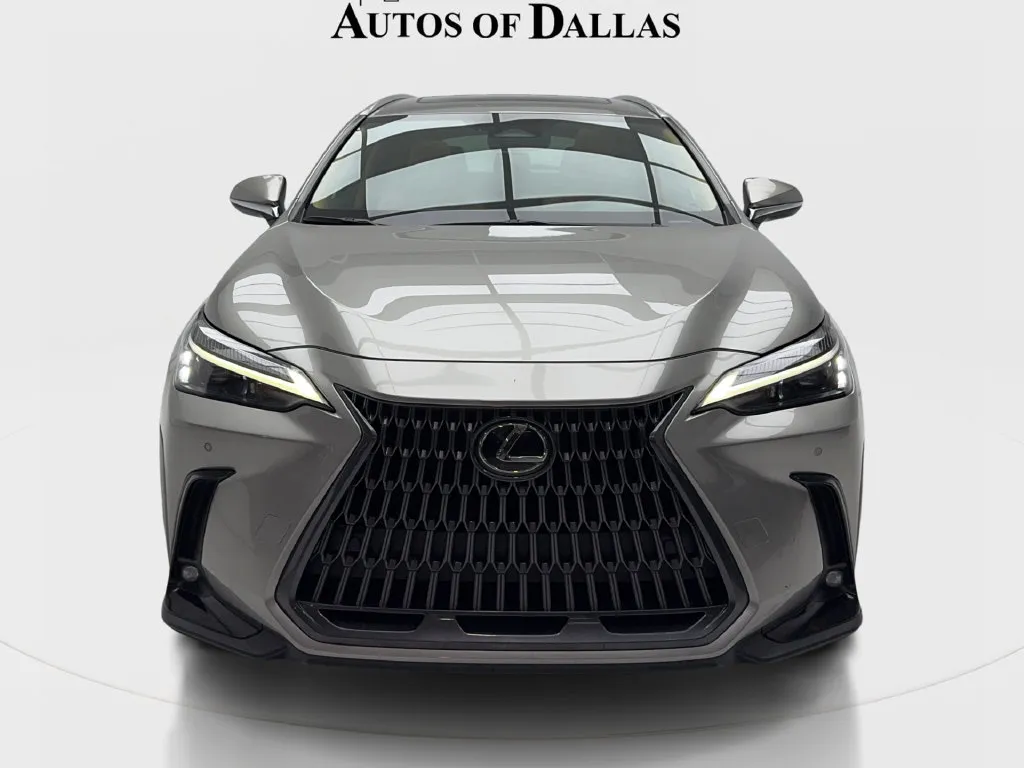 Lexus NX photo 4