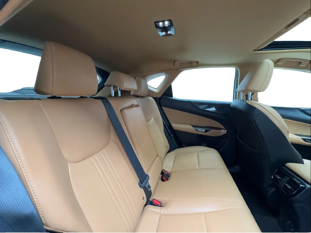 Lexus NX photo 30