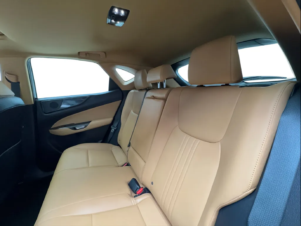 Lexus NX photo 27