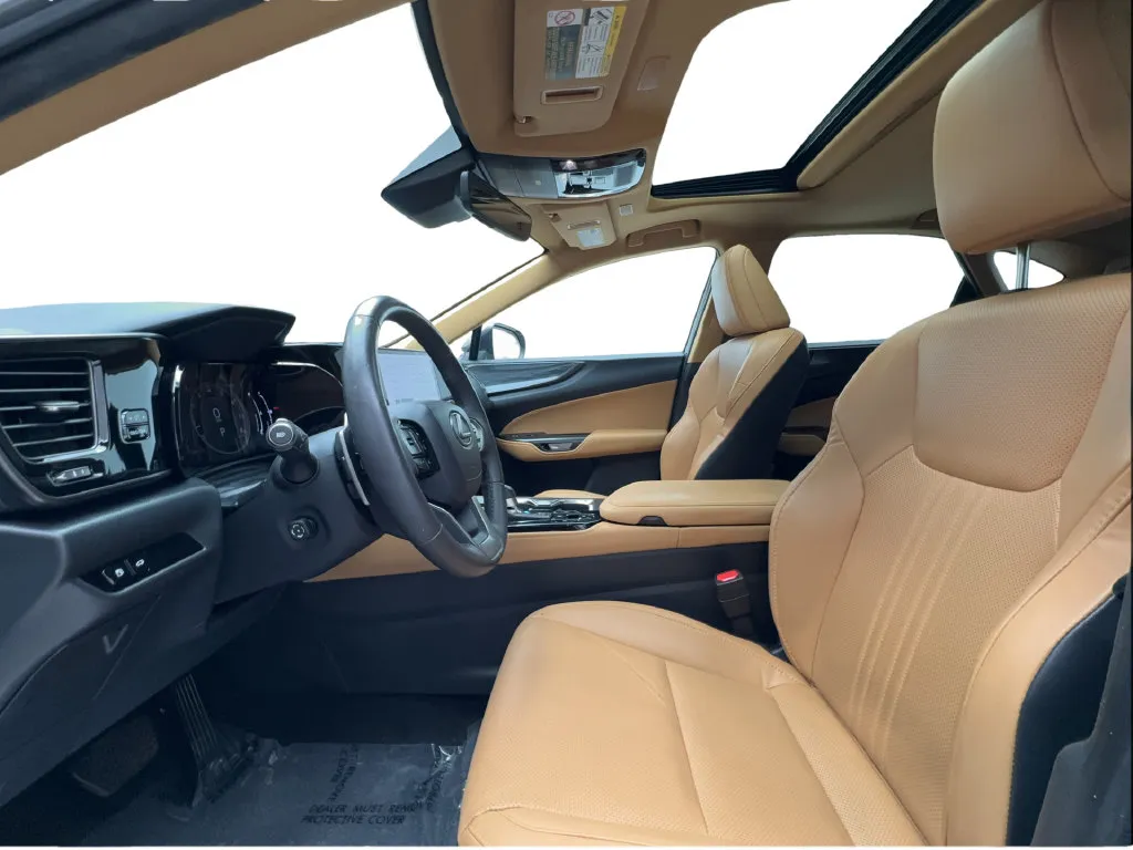 Lexus NX photo 21