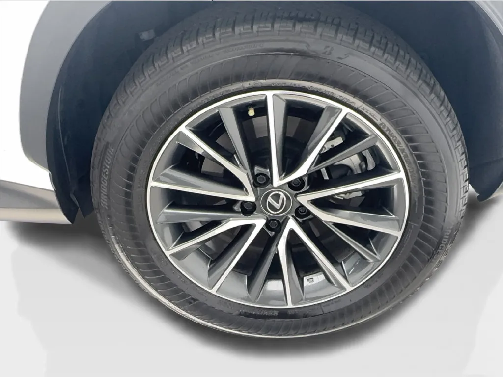 Lexus NX photo 14