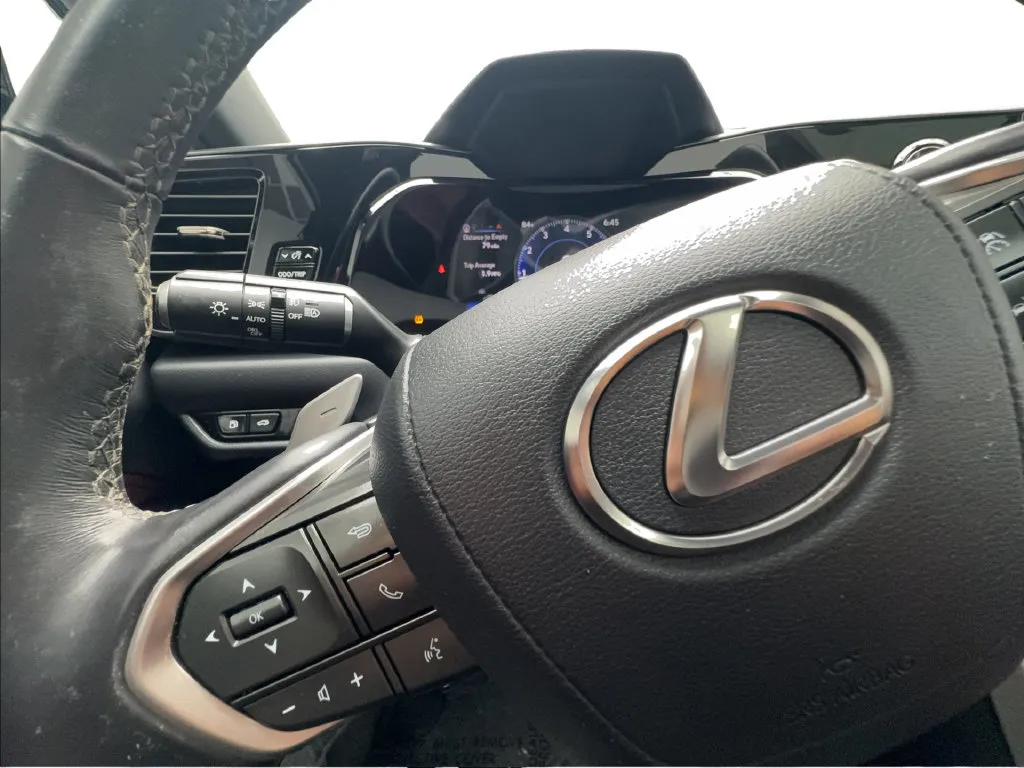 Lexus NX photo 47