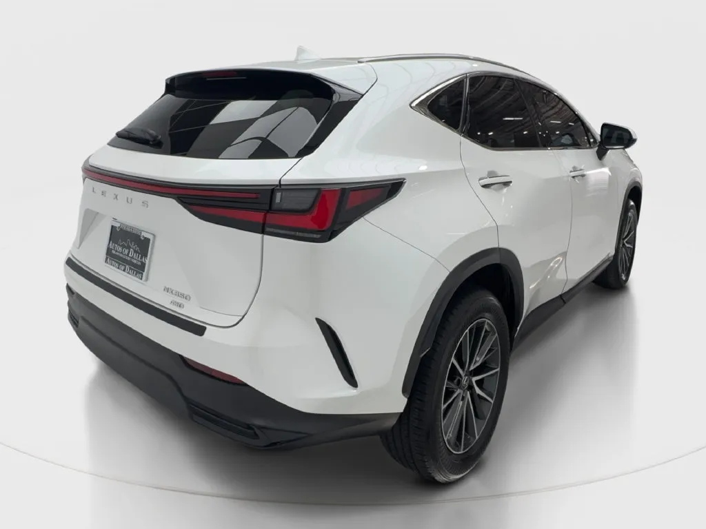 Lexus NX photo 8