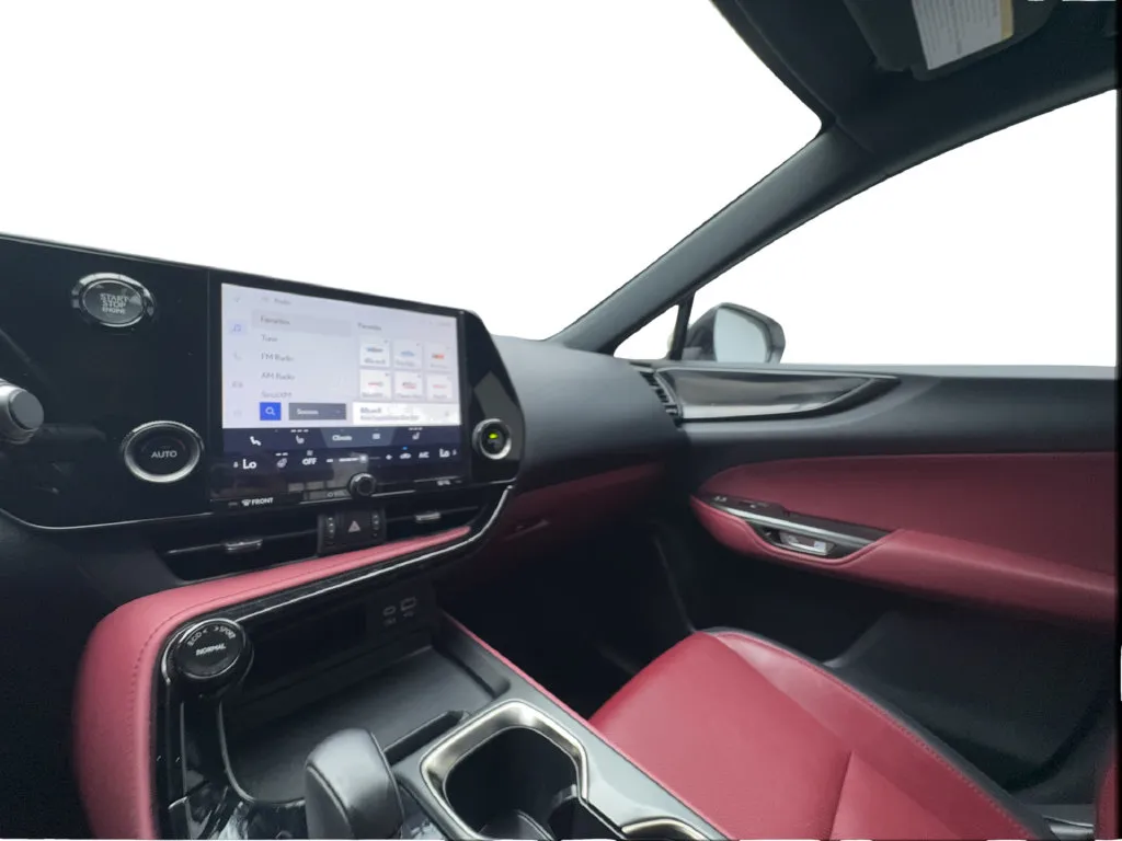 Lexus NX photo 48