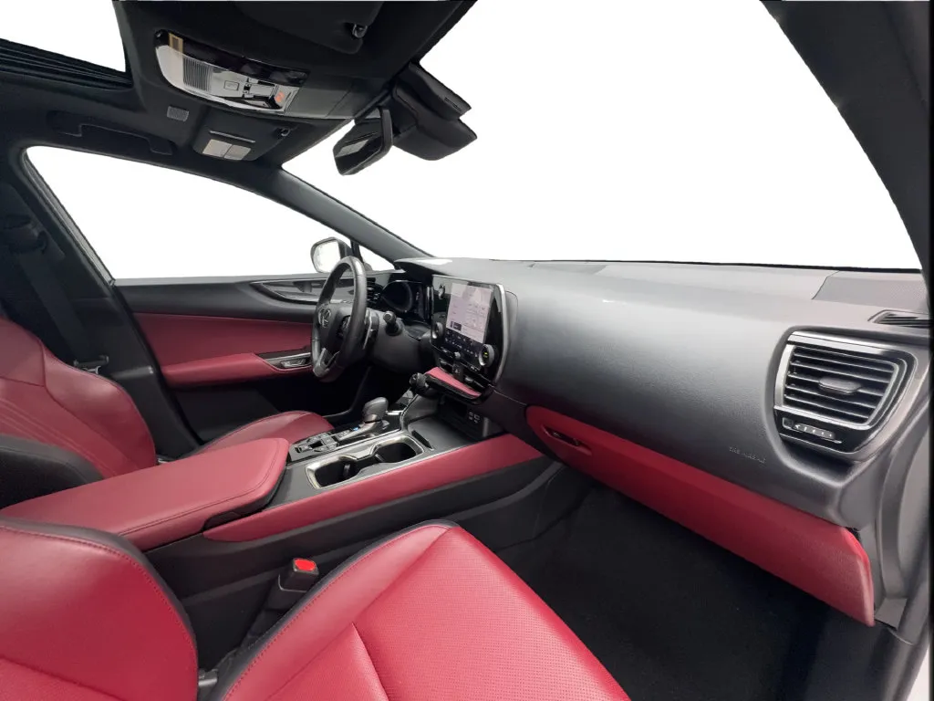 Lexus NX photo 36