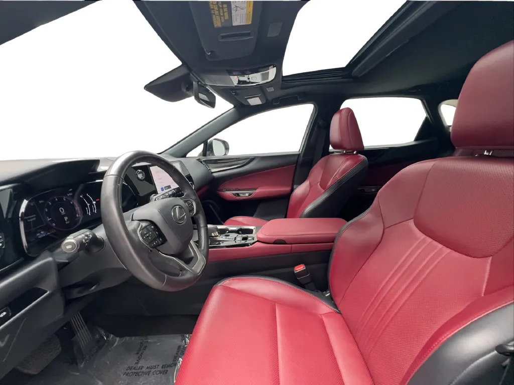 Lexus NX photo 22