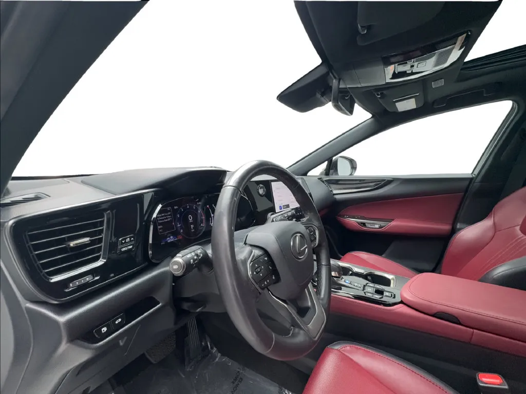 Lexus NX photo 23