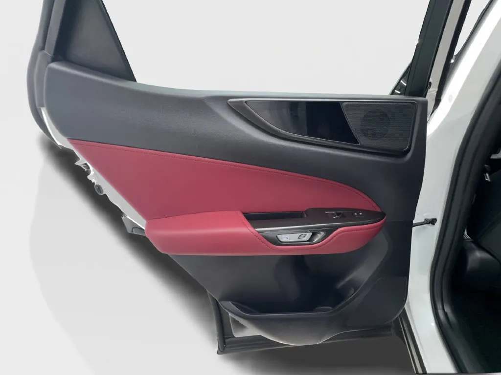 Lexus NX photo 29