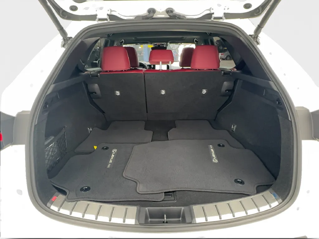 Lexus NX photo 19