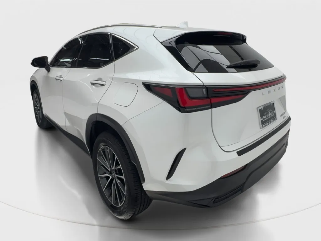 Lexus NX photo 11