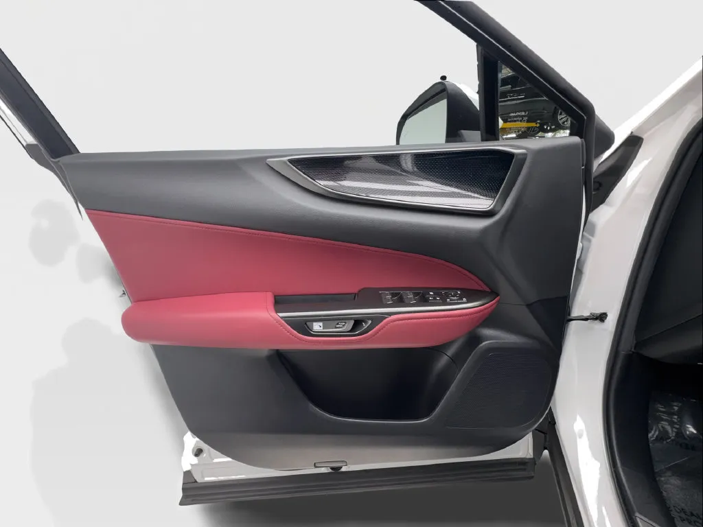Lexus NX photo 26