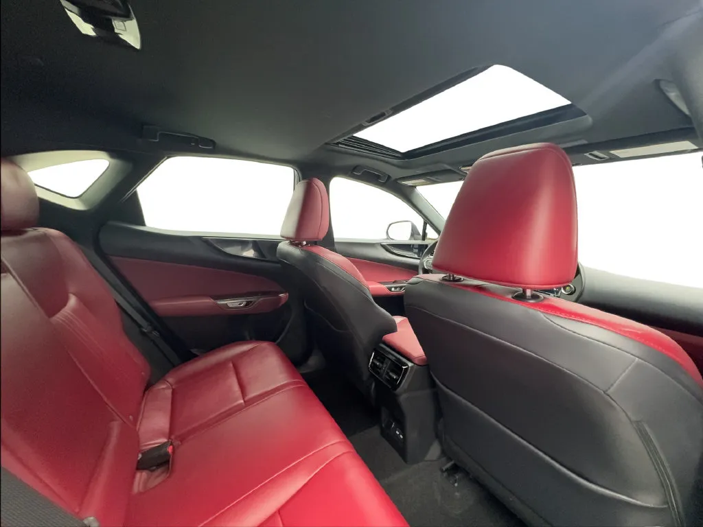 Lexus NX photo 30