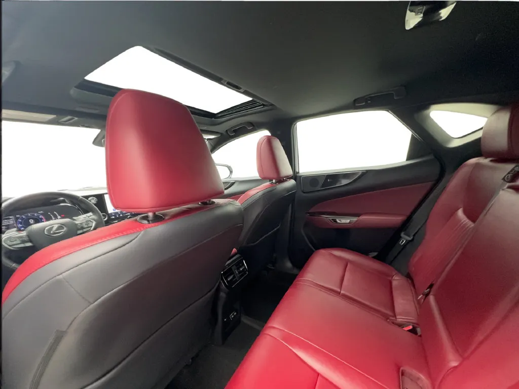 Lexus NX photo 27