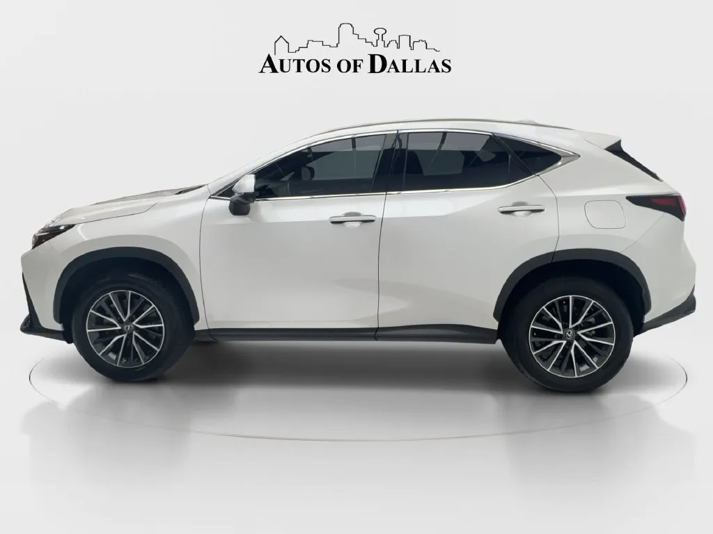 Lexus NX photo 6