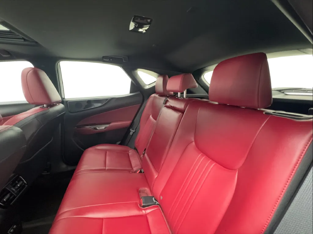 Lexus NX photo 28
