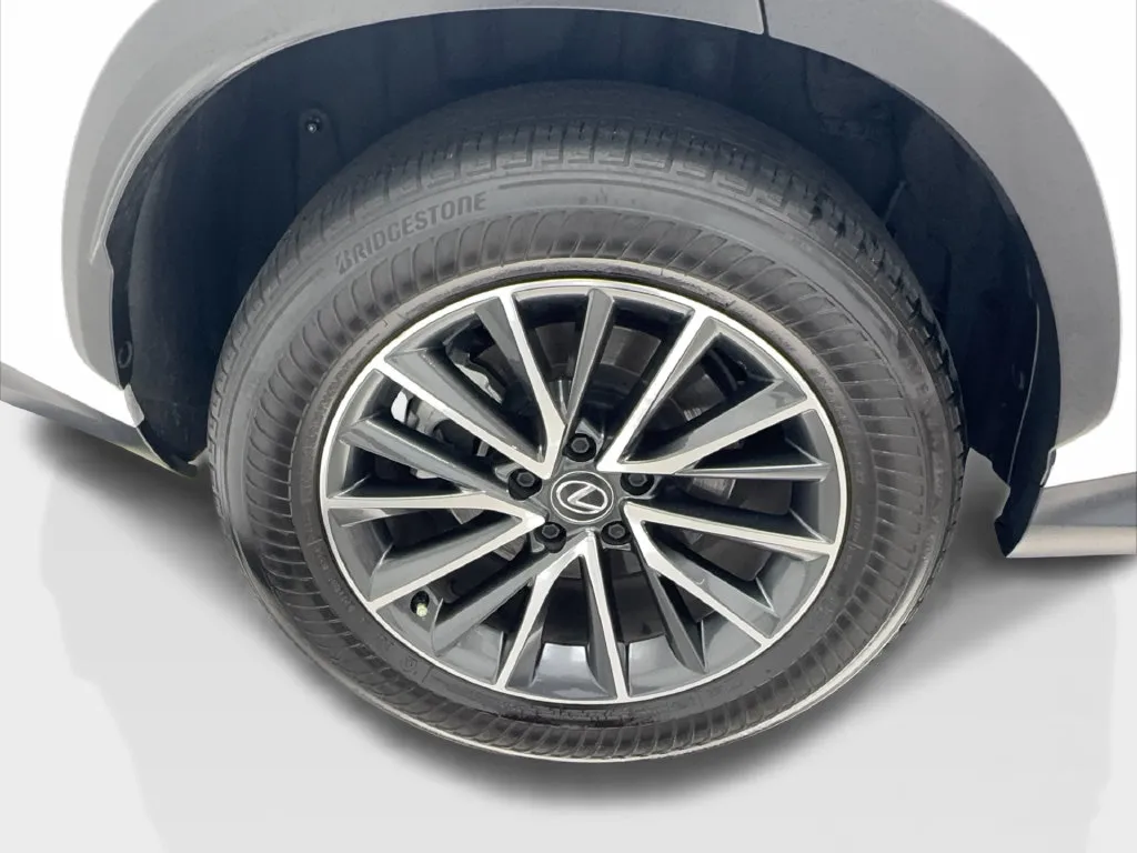 Lexus NX photo 18