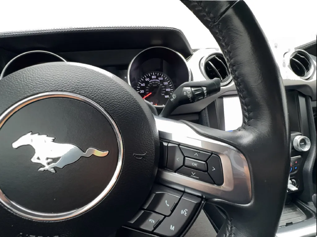 Ford Mustang photo 37