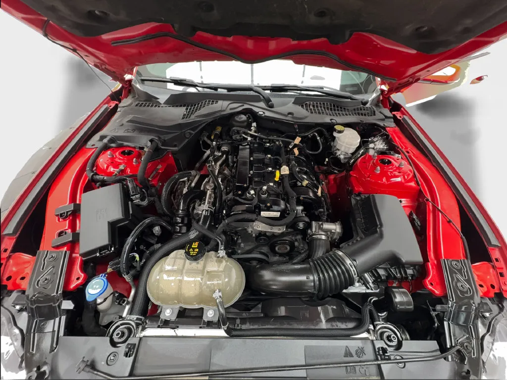 Ford Mustang photo 20