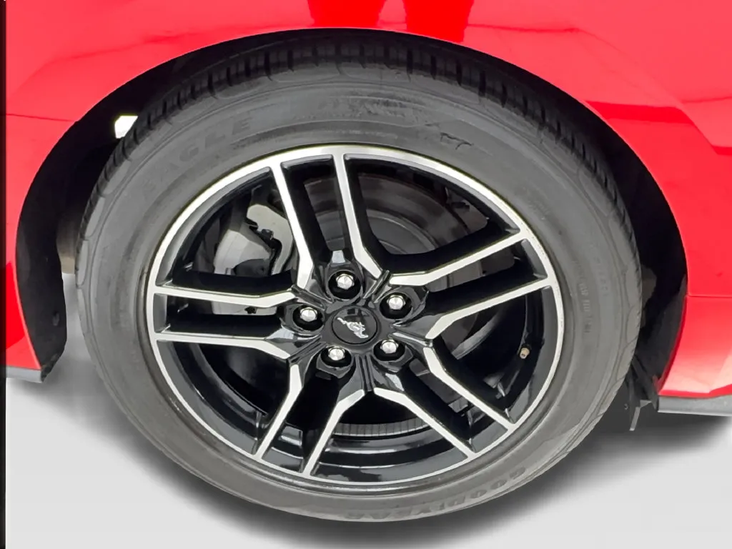 Ford Mustang photo 16
