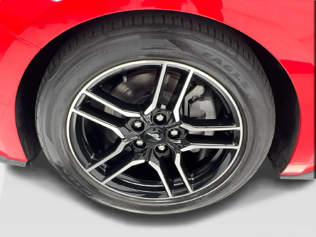 Ford Mustang photo 14