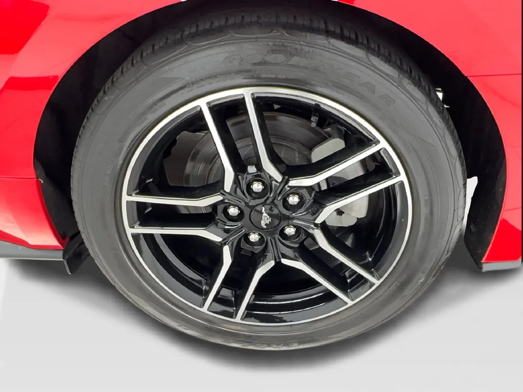 Ford Mustang photo 12