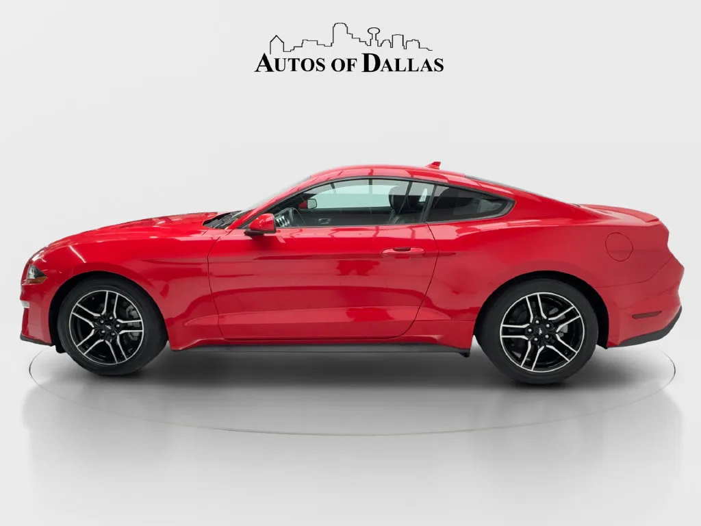 Ford Mustang photo 6