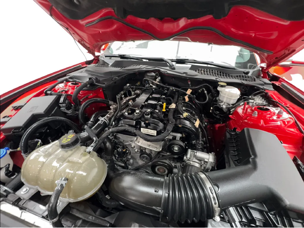 Ford Mustang photo 19