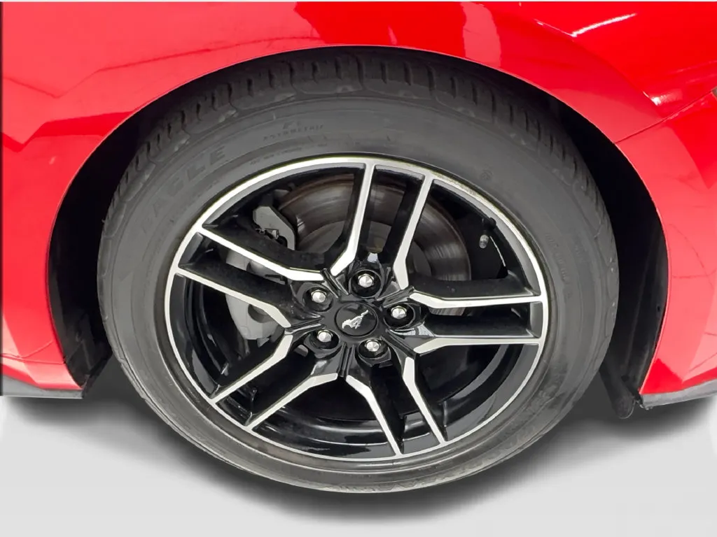 Ford Mustang photo 15
