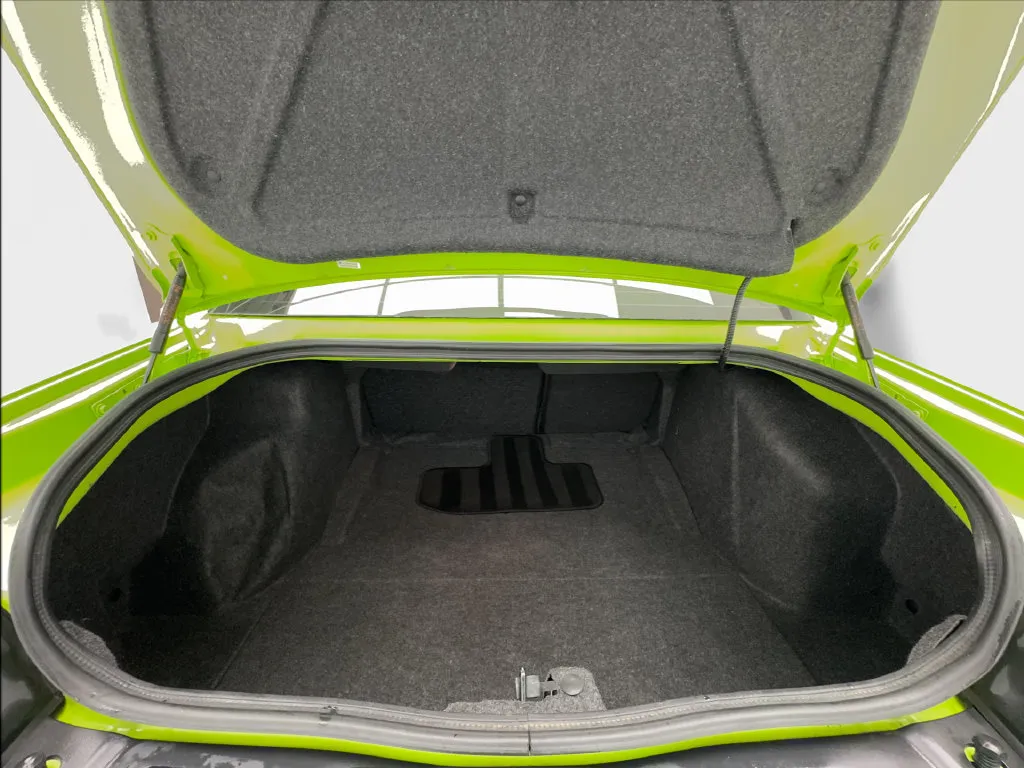 Dodge Challenger photo 18