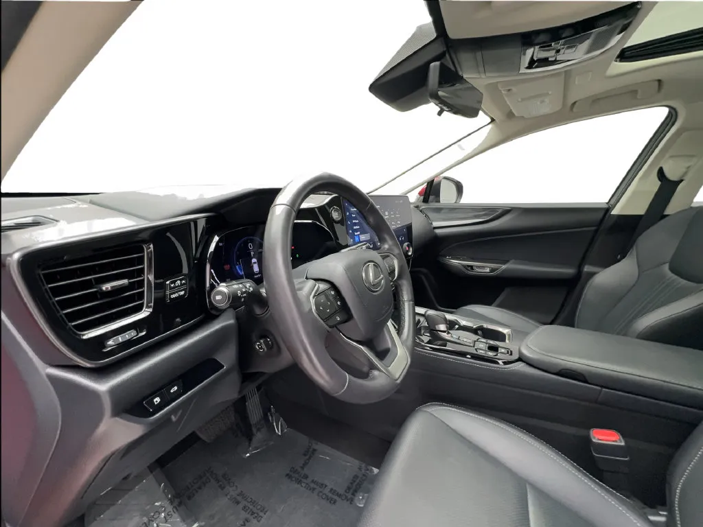 Lexus NX photo 23