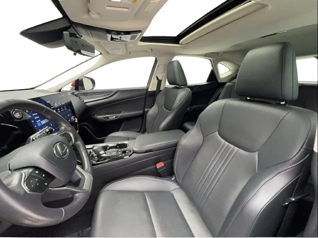 Lexus NX photo 21
