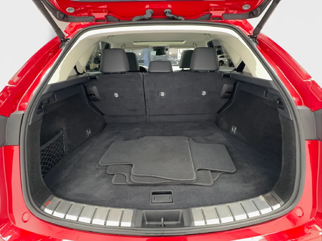 Lexus NX photo 19