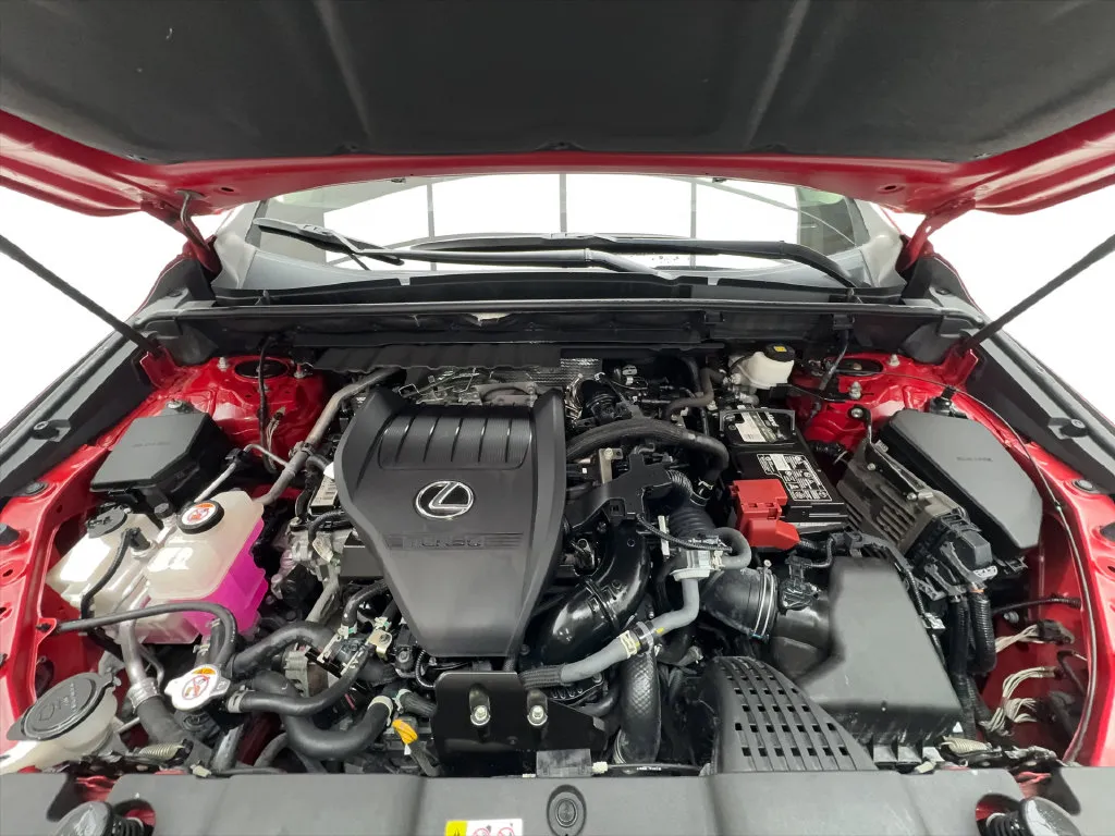 Lexus NX photo 20