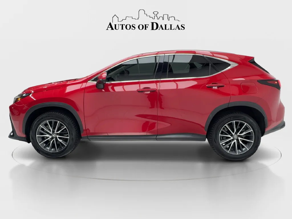 Lexus NX photo 6